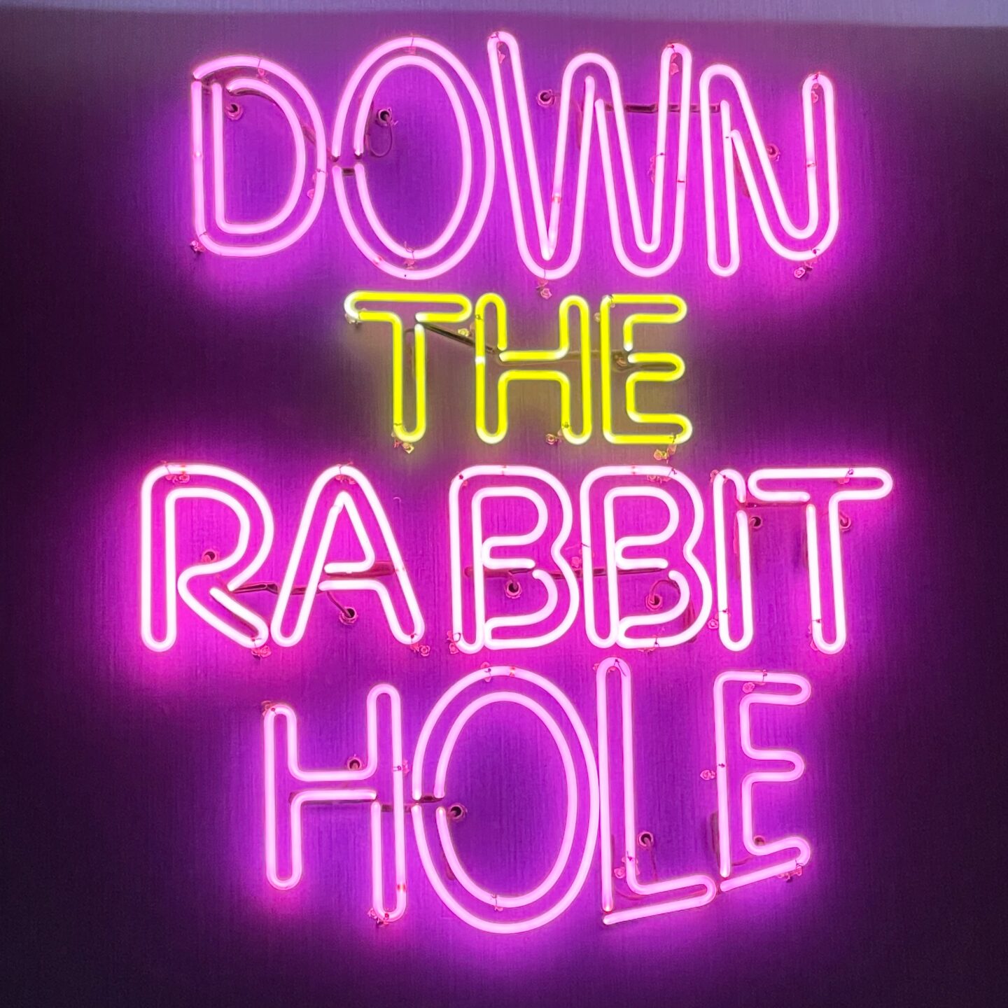 Neon lights in pink and yellow saying "Down the rabbit hole"