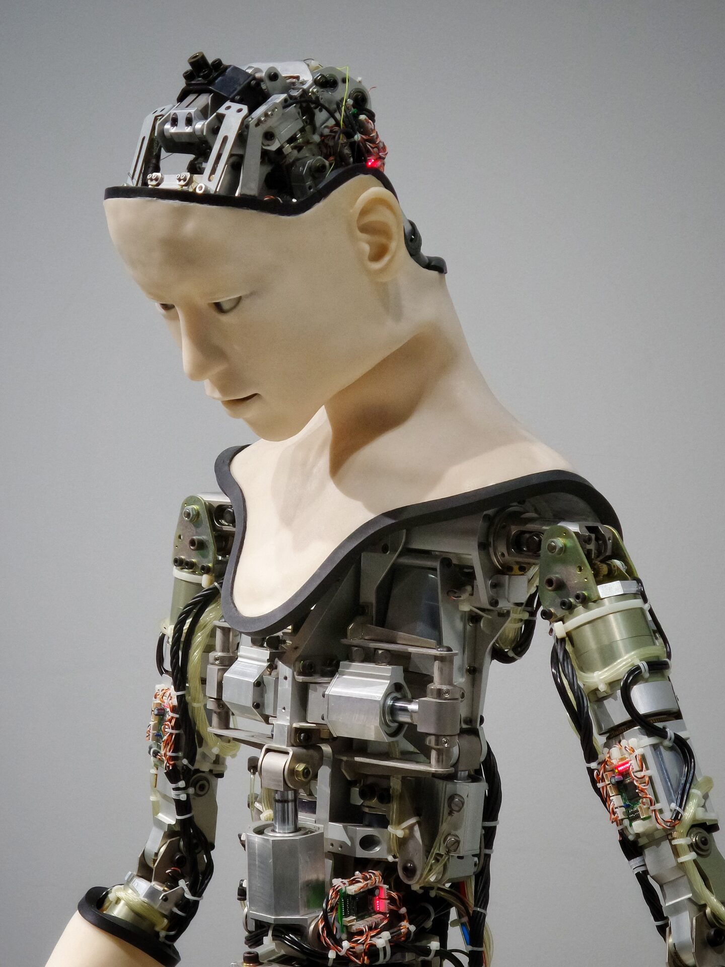 A robot, with the head of a white person, but with the body machinery exposed. 